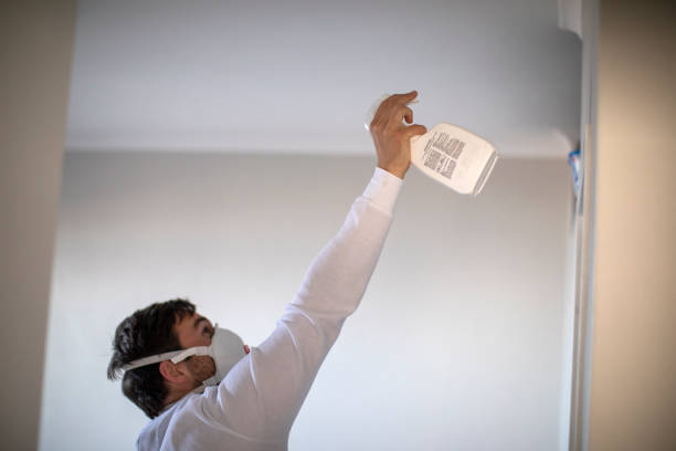 Best Mold Remediation for Specific Building Types in Glencoe, AL